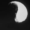 Saturn's moon, Iapetus