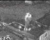 'Ghost' caught on CCTV at a junkyard in the United States