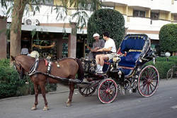 Caleche - image courtesy of CJ McLaughlin - http://www.egyptinteractive.com/EgyptTour/Luxor.htm