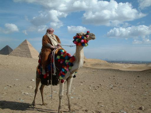 'Eddie of Arabia'
